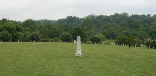 Close-up of a numbered grave marker showing stamped metal tag