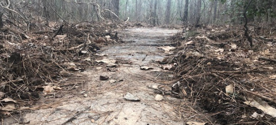 Stock cars racing on Raleigh Speedway